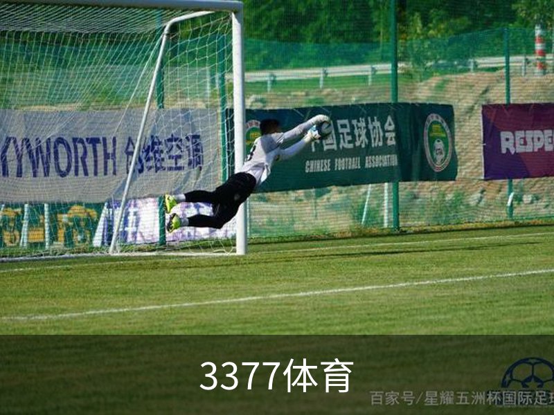 了解3377体育